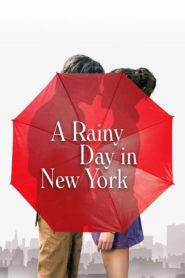 Egy esős nap New Yorkban