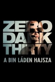 Zero Dark Thirty – A Bin Láden hajsza