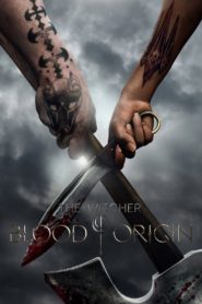 Vaják: A vér eredete: Season 1
